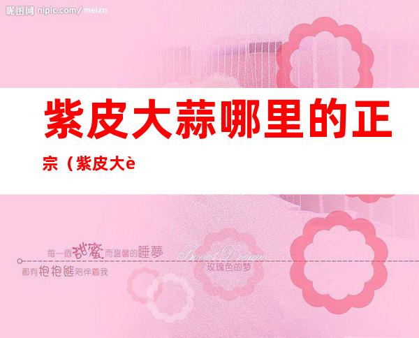 紫皮大蒜哪里的正宗(紫皮大蒜哪里的好吃)