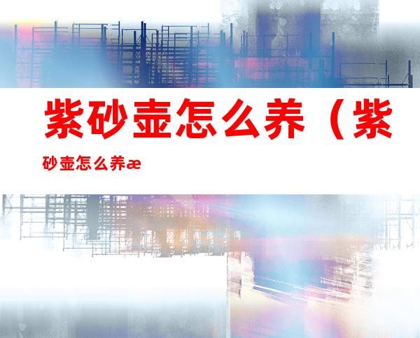 紫砂壶怎么养（紫砂壶怎么养才能养出最好的包浆）