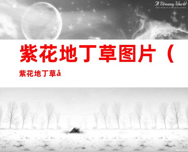 紫花地丁草图片(紫花地丁草图片和无心草是同种草是一样的吗)