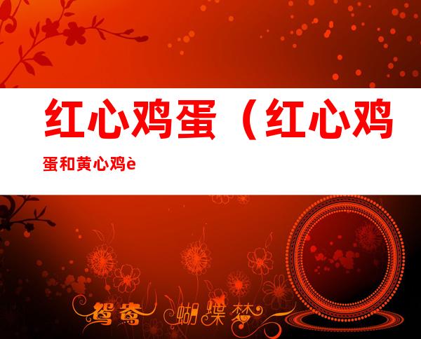 红心鸡蛋（红心鸡蛋和黄心鸡蛋哪个好）