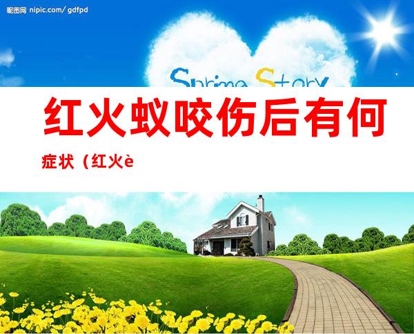 红火蚁咬伤后有何症状(红火蚁咬伤后有何症状图片)