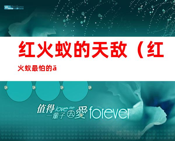 红火蚁的天敌(红火蚁最怕的三种克星)