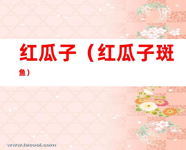 红瓜子（红瓜子斑鱼）