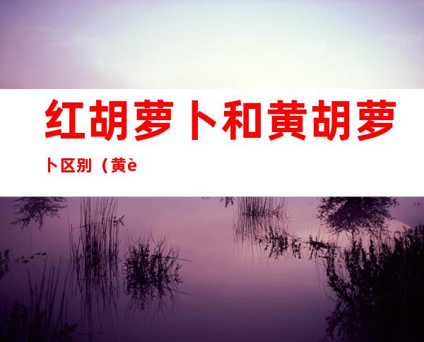 红胡萝卜和黄胡萝卜区别（黄胡萝卜和红胡萝卜的区别）