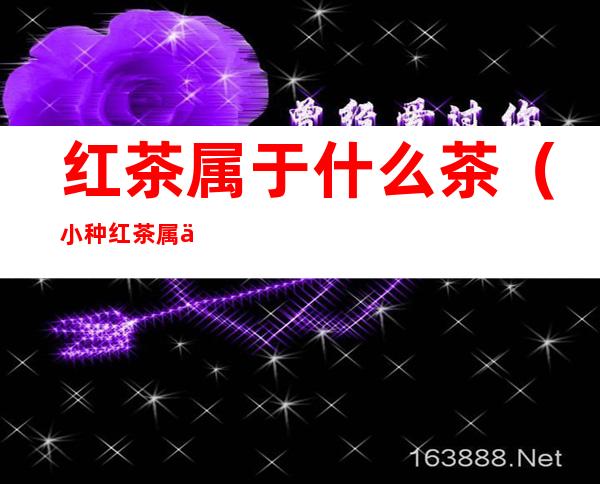 红茶属于什么茶(小种红茶属于什么茶)