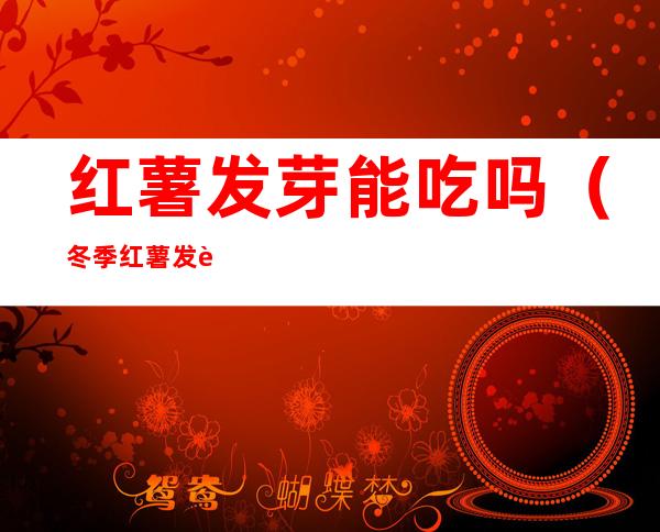 红薯发芽能吃吗(冬季红薯发芽能吃吗)