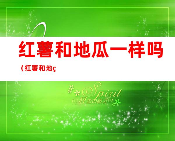 红薯和地瓜一样吗(红薯和地瓜一样吗图片)