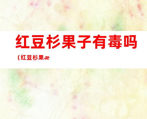 红豆杉果子有毒吗(红豆杉果有毒么)
