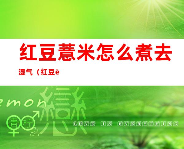 红豆薏米怎么煮去湿气(红豆薏米怎么煮去湿气减肥)