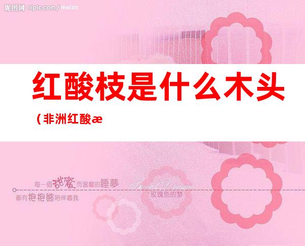 红酸枝是什么木头（非洲红酸枝是什么木头）