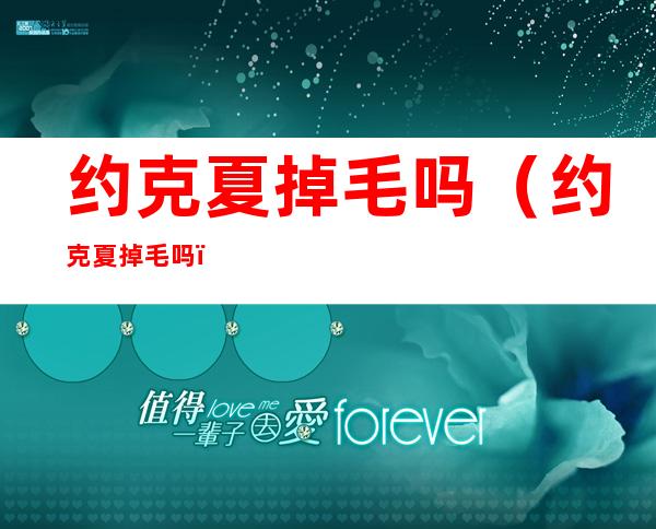 约克夏掉毛吗(约克夏掉毛吗?)
