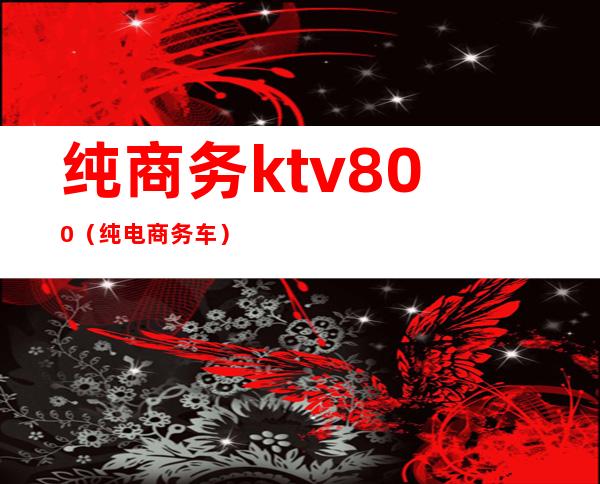 纯商务ktv800（纯电商务车）