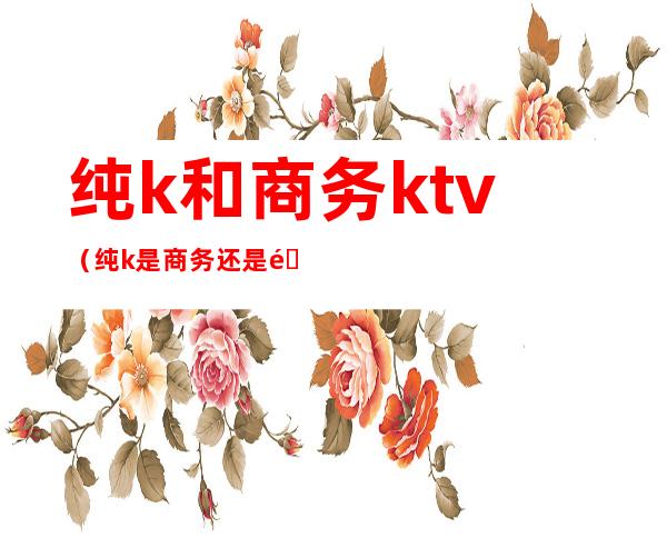 纯k和商务ktv（纯k是商务还是量贩）