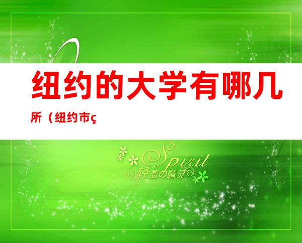 纽约的大学有哪几所(纽约市的大学有哪几所)
