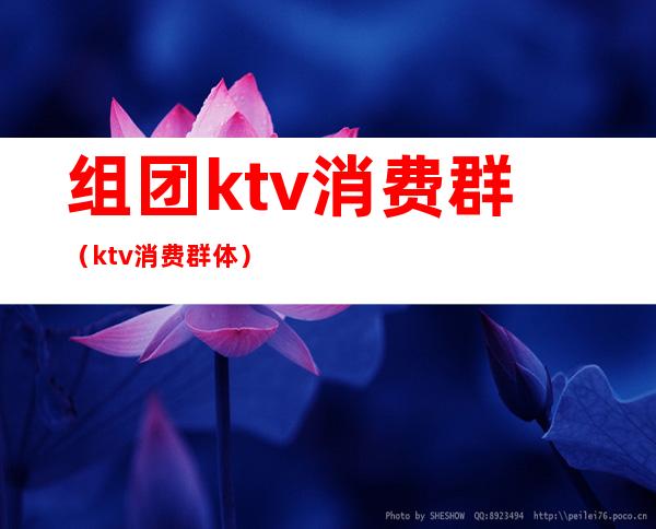 组团ktv消费群(ktv消费群体)