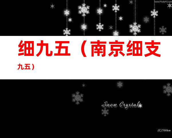 细九五(南京细支九五)