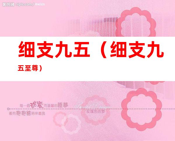 细支九五(细支九五至尊)