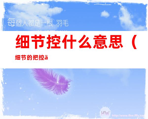 细节控什么意思（细节的把控什么意思）