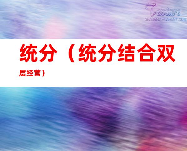 统分(统分结合双层经营)
