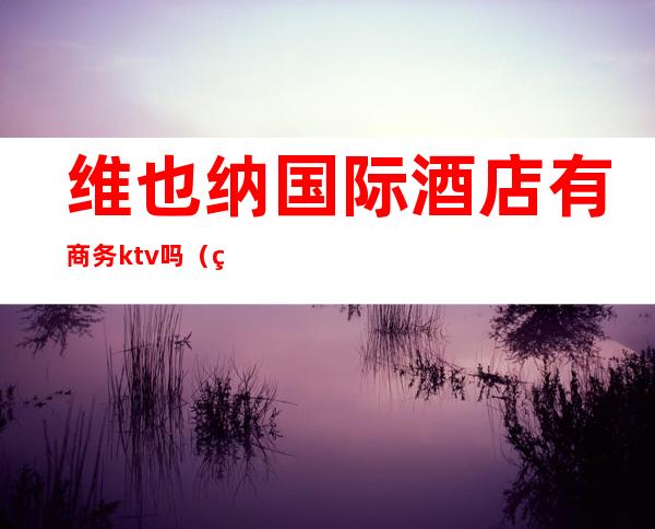 维也纳国际酒店有商务ktv吗(维也纳酒店ktv娱乐会所怎么样)