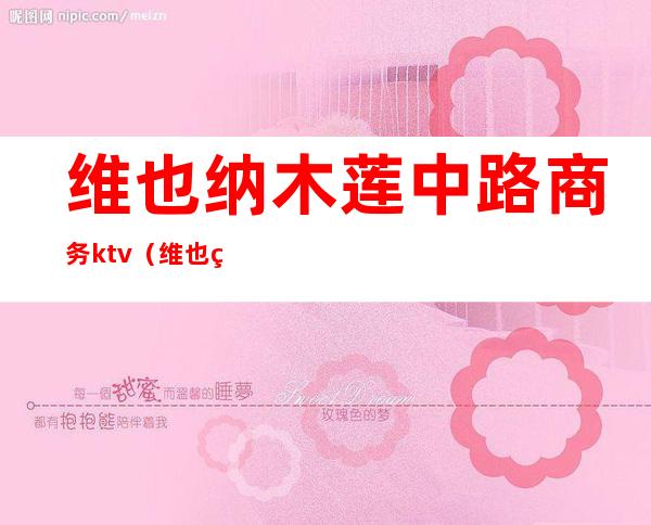 维也纳木莲中路商务ktv(维也纳商业街)