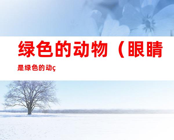 绿色的动物(眼睛是绿色的动物)