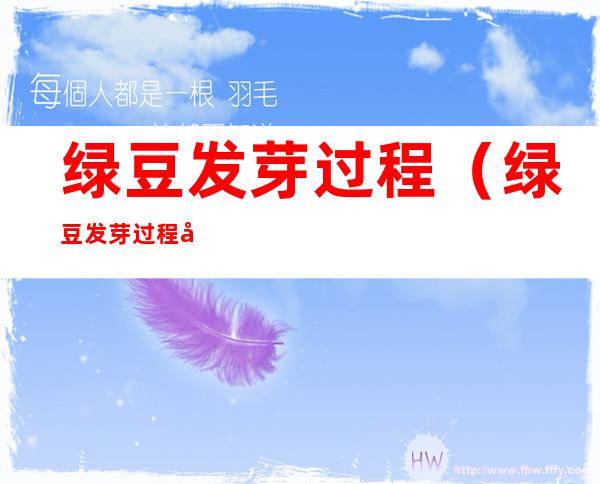 绿豆发芽过程（绿豆发芽过程图片）