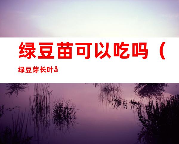 绿豆苗可以吃吗(绿豆芽长叶子能吃吗)