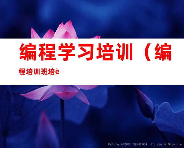 编程学习培训（编程培训班培训）