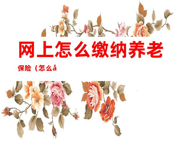 网上怎么缴纳养老保险(怎么在网上缴纳养老保险)
