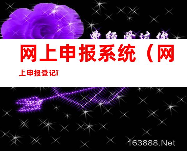 网上申报系统(网上申报登记)