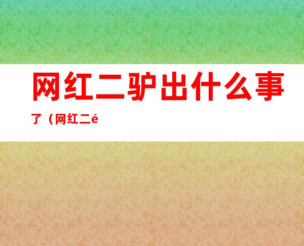网红二驴出什么事了(网红二驴以前都干什么的)
