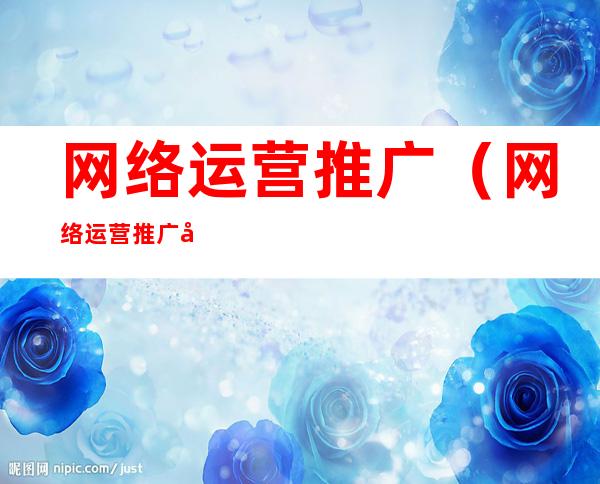 网络运营推广（网络运营推广具体做什么工作）
