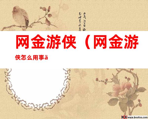 网金游侠(网金游侠怎么用事件脚本)