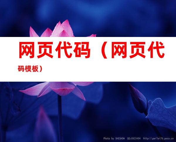网页代码(网页代码模板)