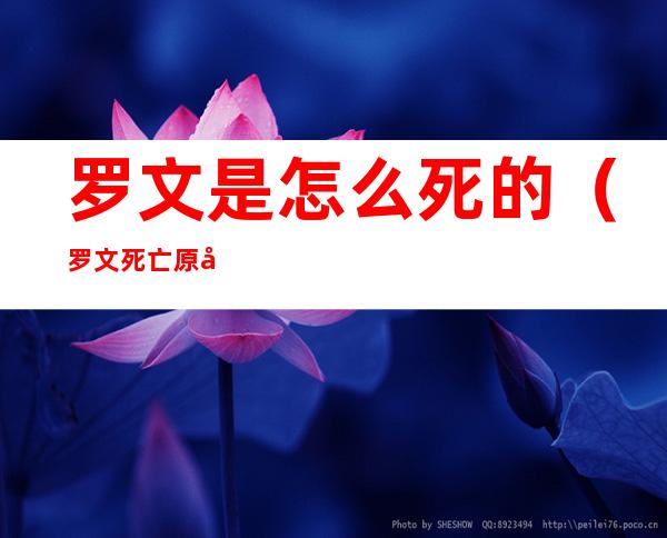 罗文是怎么死的(罗文死亡原因)
