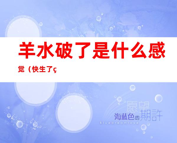羊水破了是什么感觉(快生了羊水破了是什么感觉)