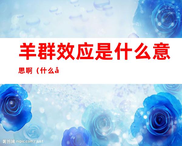 羊群效应是什么意思啊(什么叫做羊群效应)