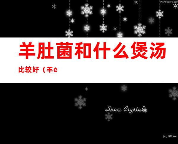 羊肚菌和什么煲汤比较好(羊肚菌和什么搭配煲汤什么好处)