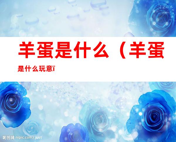 羊蛋是什么(羊蛋是什么玩意)