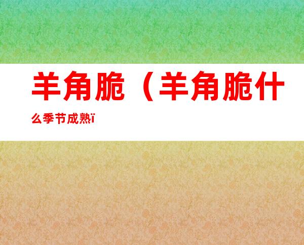 羊角脆(羊角脆什么季节成熟)