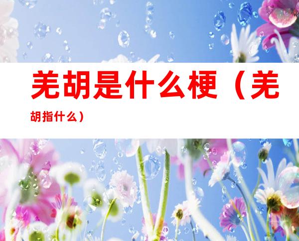 羌胡是什么梗（羌胡指什么）