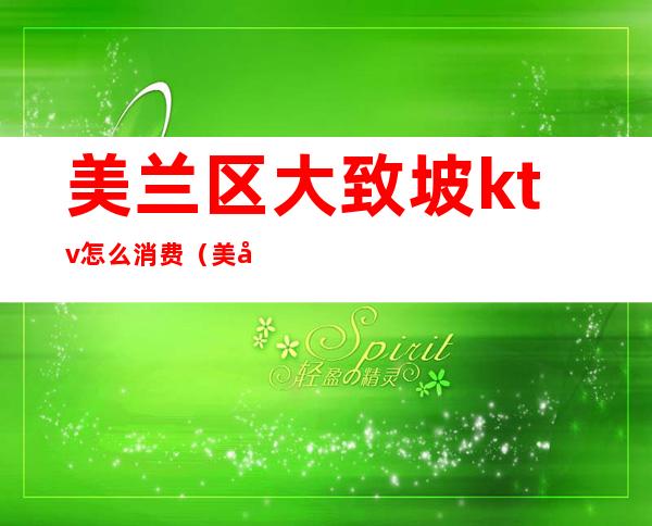美兰区大致坡ktv怎么消费(美兰区酒吧)
