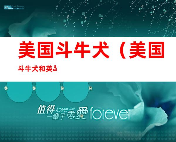 美国斗牛犬(美国斗牛犬和英国斗牛犬的区别)