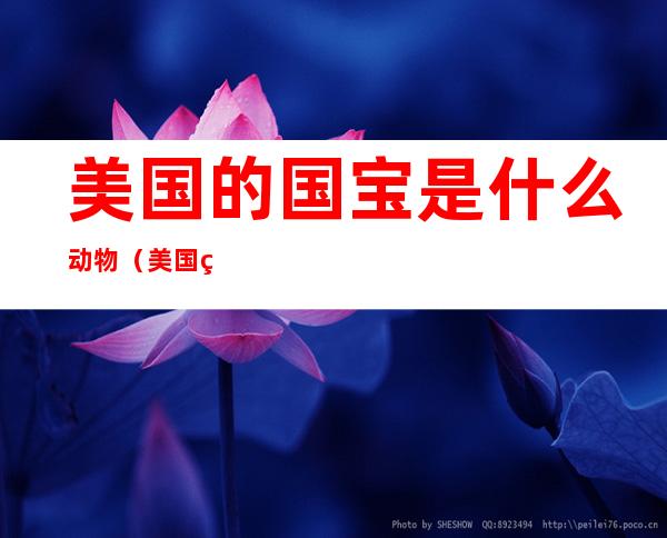 美国的国宝是什么动物(美国的国宝是什么动物用英语怎么写)