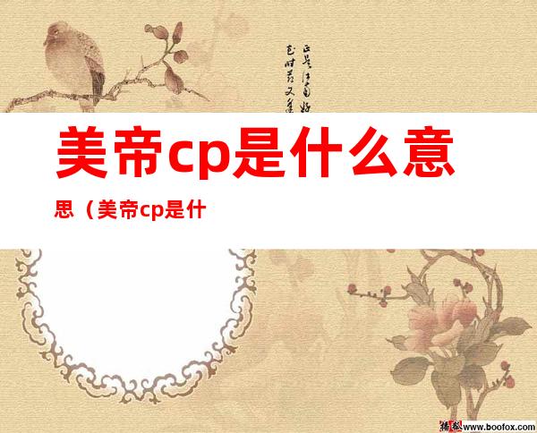 美帝cp是什么意思（美帝cp是什么意思肖战王一博）