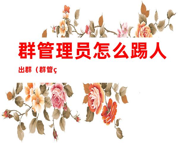 群管理员怎么踢人出群(群管理员怎么把人踢出群)