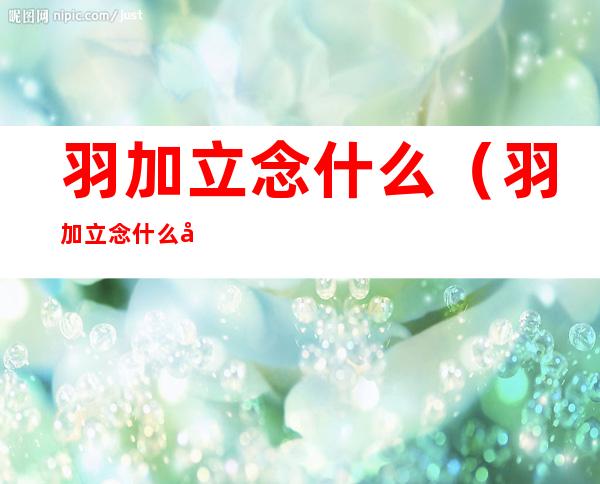 羽加立念什么(羽加立念什么字)