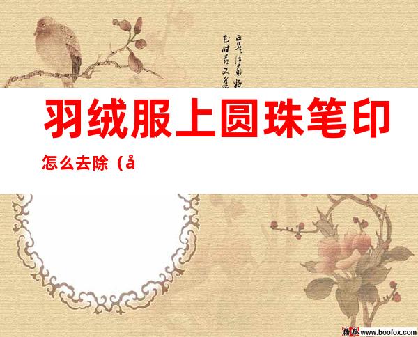 羽绒服上圆珠笔印怎么去除(如何去除羽绒服上的圆珠笔印)
