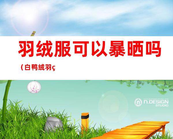 羽绒服可以暴晒吗（白鸭绒羽绒服可以暴晒吗）